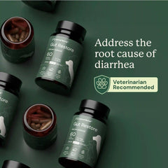 Gut Restore Supplement for Dogs