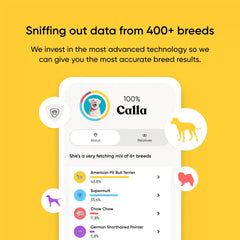 Breed + Health Dog DNA Test